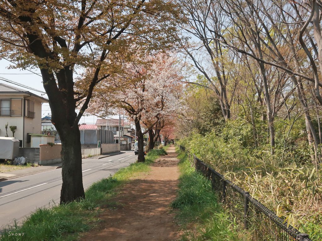 堀野中通り