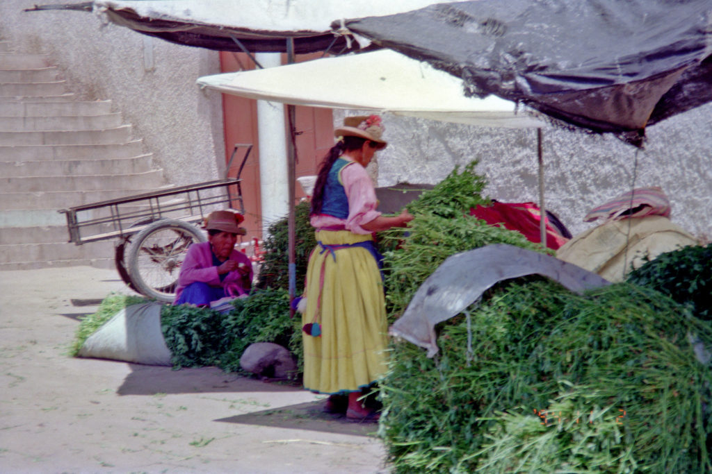 モケグア＠ペルー（1994-11-02）