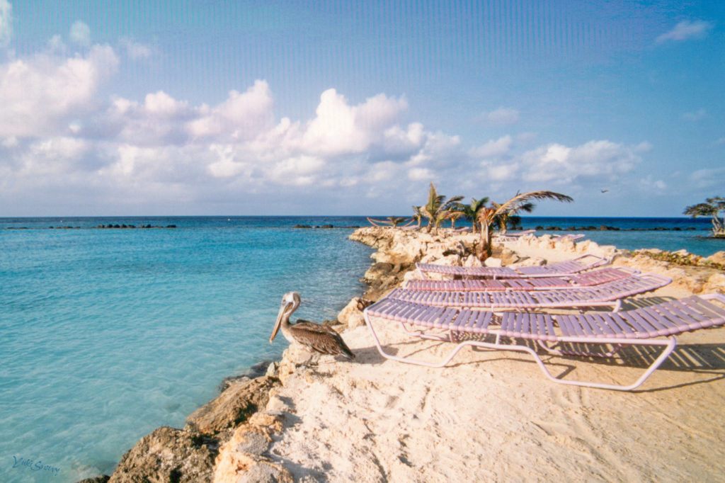 Hotel Aruba Sonesta Beach Resort（1998-02-25）