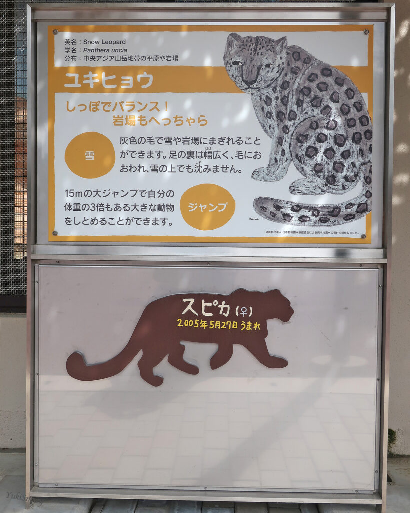スピカ＠熊本市動植物園（2019-03-09）