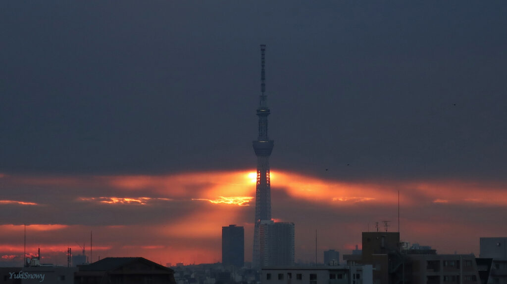 東京スカイツリーを横切る太陽（2024-02-08 06:50）