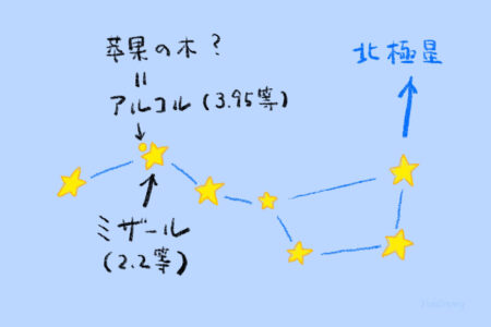 烏の北斗七星の苹果の木