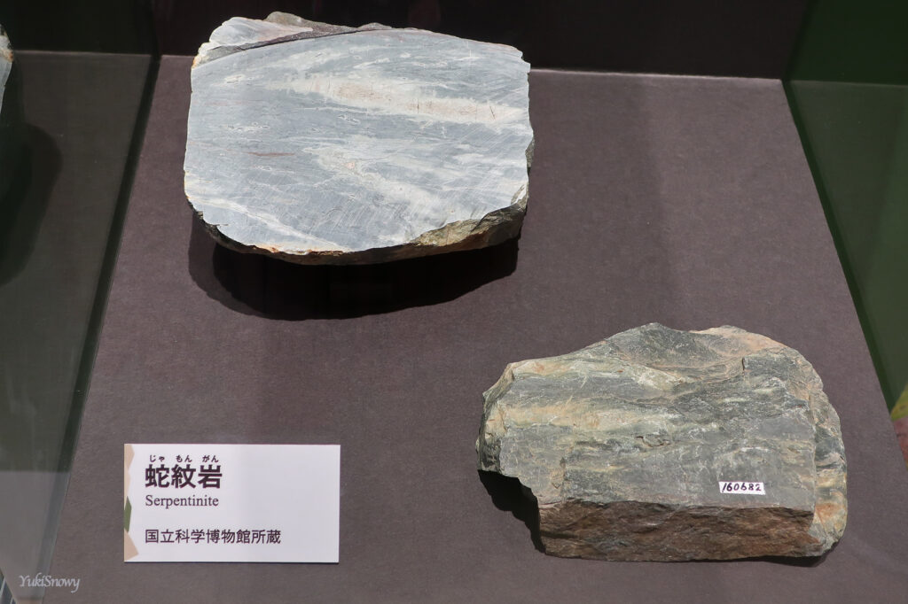 蛇紋岩（国立科学博物館所蔵）