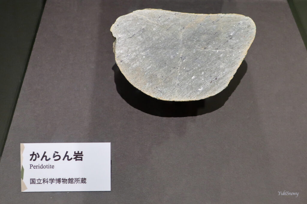 かんらん岩（国立科学博物館所蔵）