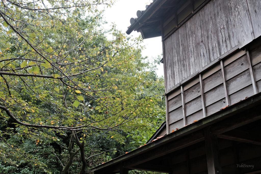 仕立屋（2025-10-04）