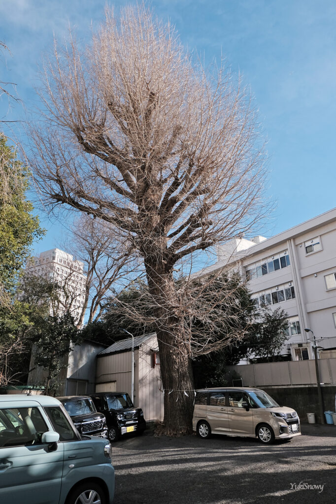 腰掛稲荷神社（2026-01-22）