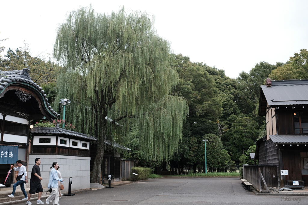 子宝湯（2025-10-04）